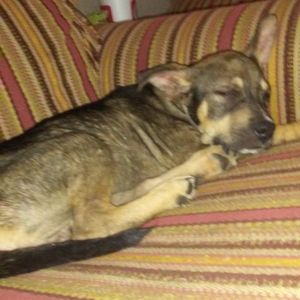 Meet your Posher, Brandon